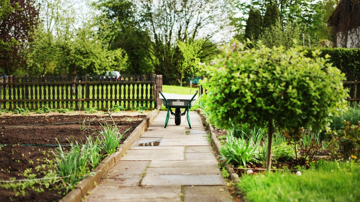 Comment démarrer un jardin ?
