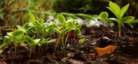 Pourquoi visiter un blog sur la permaculture ?