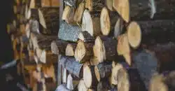 bûches de bois